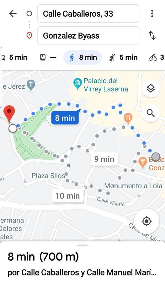 Sherryflat Palacio - Parking Jerez de la Frontera Ngoại thất bức ảnh